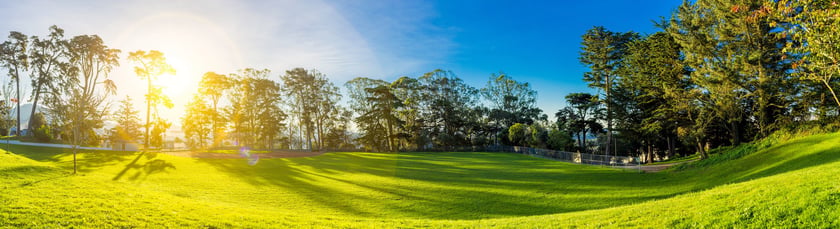 Lawn Maintenance