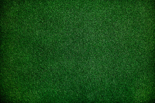 Turf